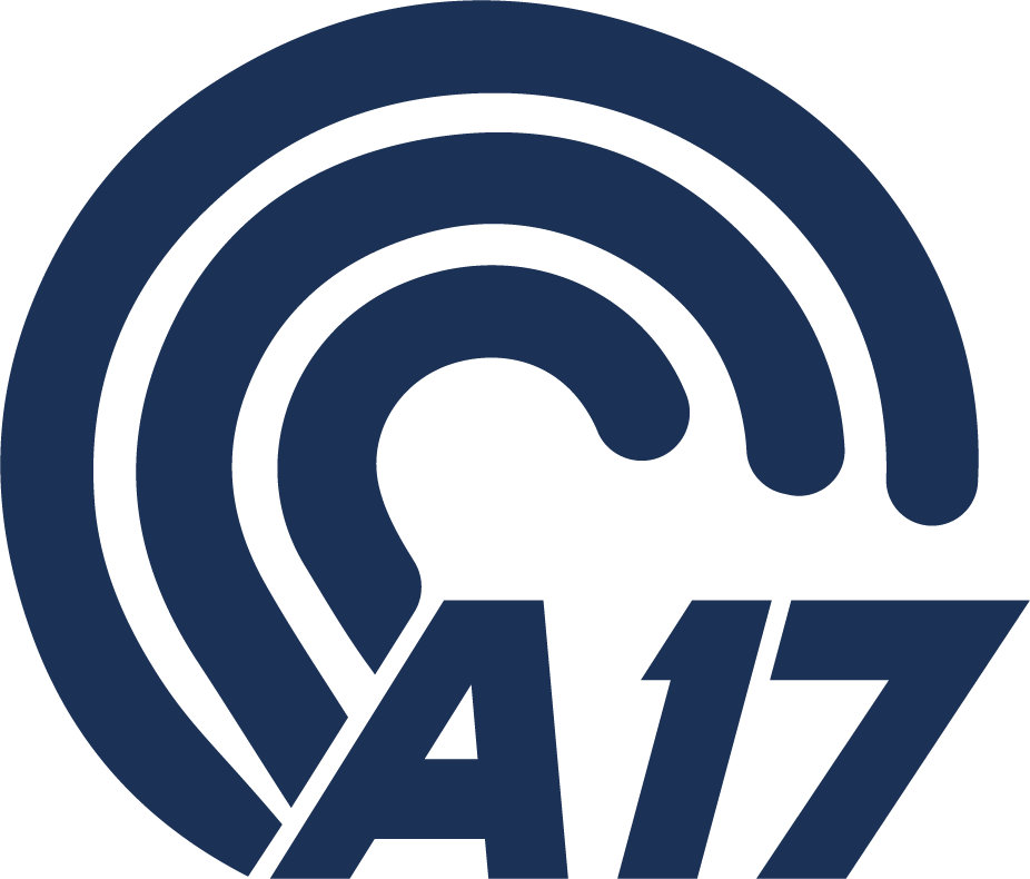 ა17 — ლოგო